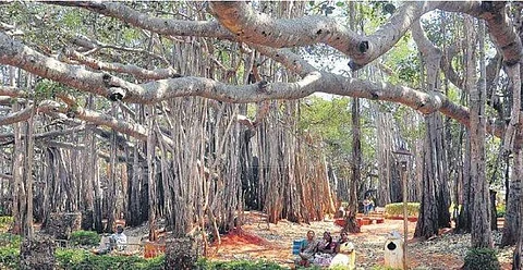 கோப்பிலிருந்து..