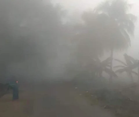 வாழப்பாடி அருகே பழனியாபுரம் கிராமத்தில் ஞாயிற்றுக்கிழமை காலை, சாலை தெரியாத அளவிற்கு காணப்பட்ட மூடுபனி.