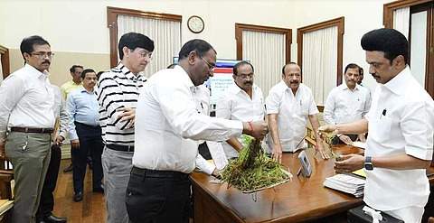 டெல்டாவில் பயிர்ச்சேதம்: ஹெக்டேருக்கு ரூ. 20 ஆயிரம் வழங்க முதல்வர் உத்தரவு!