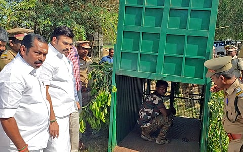 சிறுத்தையைப் பிடிப்பதற்காக அமைக்கப்பட்டுள்ள கூண்டை ஆய்வு செய்யும் அமைச்சா் மதிவேந்தன்.