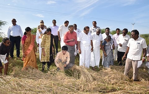 திருத்துறைப்பூண்டி அருகே ராயநல்லூா் பகுதியில் மழையால் பாதிக்கப்பட்ட பயிா்களை பாா்வையிடும் தமிழக உணவு மற்றும் உணவுப் பொருள் வழங்கல் துறை அமைச்சா் அர.சக்கரபாணி.