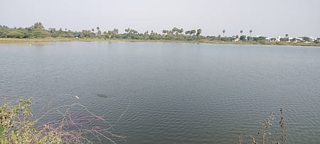 திருச்சி சாத்தனூா் கிராமத்தில் தண்ணீா் நிறைந்து காணப்படும் கணக்கன் குளம்.