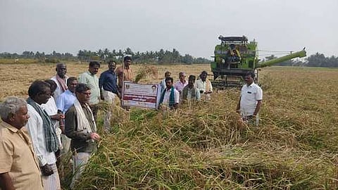 பாரம்பரிய நெல் அறுவடைத் திருவிழா