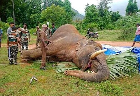 கோப்புப் படம்