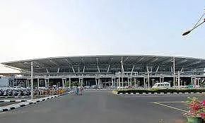 சென்னை விமான நிலையத்தில் அரிய குரங்குகள் மீட்பு!