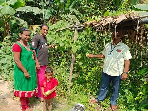 செளசெள சாகுபடி: தோட்டக்கலைத் துறை அலுவலா் ஆய்வு