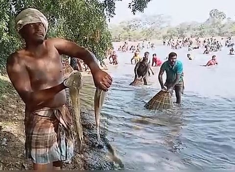 கே.ஆத்தங்குடியில் மீன்பிடித் திருவிழா