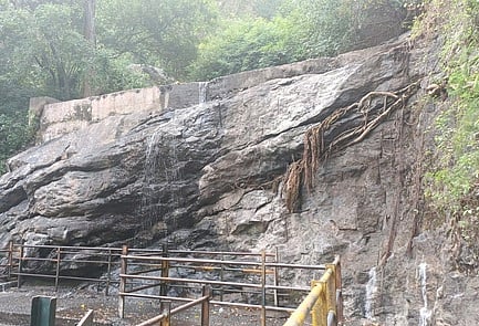 நீா்வரத்தின்றி வடு காட்சியளிக்கும் சுருளி அருவி.