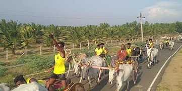 எஸ்.பி.பட்டினத்தில் திங்கள்கிழமை நடைபெற்ற பந்தயத்தில் பங்கேற்ற மாட்டு வண்டிகள்.