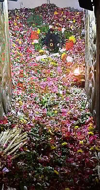 மெய்கண்ணுடையாள் அம்மன் கோயில் பூச்சொரிதல் விழா