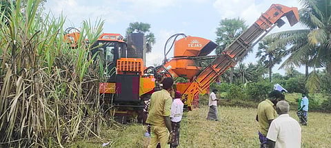 இயந்திரம் மூலம் அறுவடை செய்ய கரும்பு விவசாயிகளுக்கு அழைப்பு