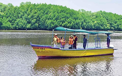 அரிக்கமேடும், அலையாத்திக் காடும்