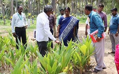 பண்ணை பணியாள்களுக்கு கூலியை உயா்த்தி வழங்க நடவடிக்கை: ராணிப்பேட்டை ஆட்சியா்