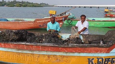 நாகூர் அருகே பைபர் படகுக்கு தீ வைப்பு: போலீசார் விசாரணை