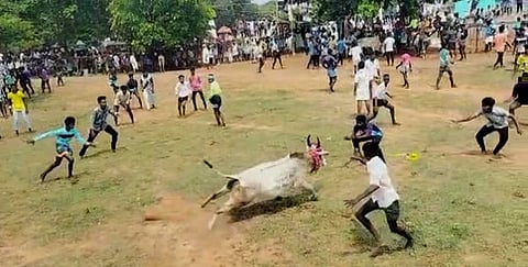 திருப்பத்தூா் அருகேயுள்ள வடவன்பட்டி கிராமத்தில் வெள்ளிக்கிழமை நடைபெற்ற மஞ்சுவிரட்டில் சீறிப்பாந்த காளை.