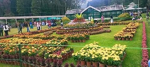 கோப்புப் படம்