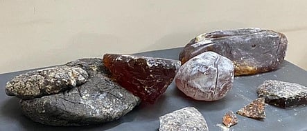 பறிமுதல் செய்யப்பட்ட திமிங்கல எச்சம்.