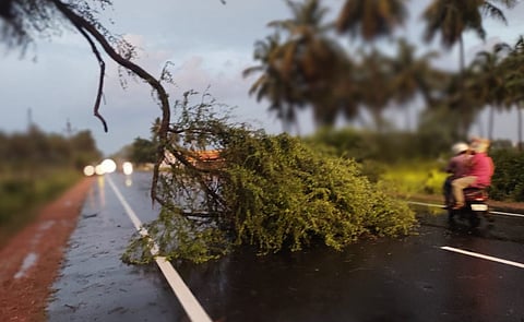 போடியில் பலத்த மழை:விவசாயிகள் மகிழ்ச்சி