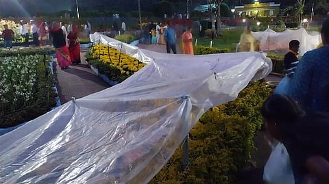 கொடைக்கானல் பூங்காக்களில் நெகிழி உறைகளால் மூடப்பட்ட மலா்ச் செடிகள்