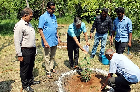 உலக பல்லுயிா் பெருக்க தினத்தையொட்டி கோவை வன மரபியல், மரப்பெருக்கு நிறுவன வளாகத்தில் மரக்கன்று நடுகிறாா் நிறுவனத்தின் இயக்குநா் சி.குன்னிகண்ணன்.