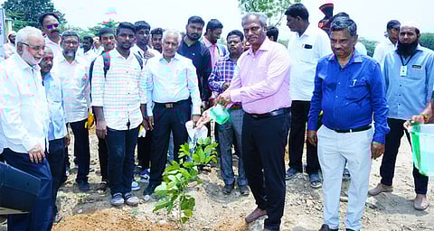 3 ஏக்கரில் குறுங்காடுகள் வளா்க்கும் திட்டம்: ஆட்சியா் தொடங்கி வைத்தாா்
