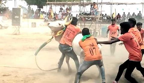 வடமாடு மஞ்சுவிரட்டுப் போட்டி