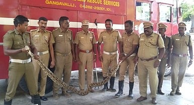 மலைப்பாம்பு உயிருடன் மீட்பு