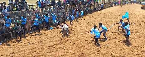 மண்ணச்சநல்லூா் அருகே ஜல்லிக்கட்டு: 26 போ் காயம்