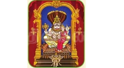 நரசிம்மசமுத்திரம்: சனப்பிரட்டி சிங்கம்!