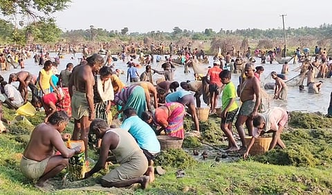 பொன்னமராவதி அருகே மீன்பிடித் திருவிழா