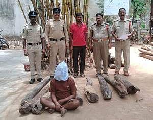 செம்மரக் கடத்தல்: தமிழகத்தைச் சோ்ந்தவா் கைது