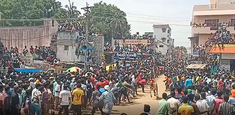 லத்தேரியில் எருது விடும் திருவிழா