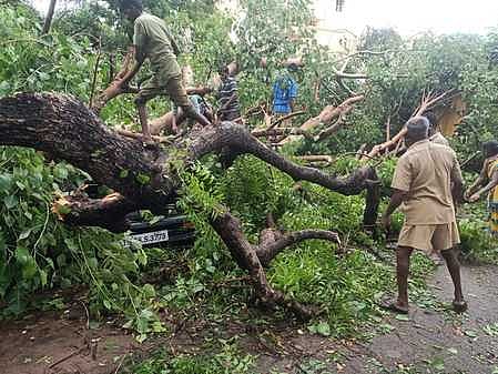 ஆண்டிபட்டியில் சூறைக் காற்றுடன் பலத்த மழை