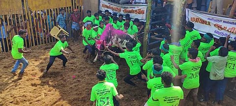 அரியலூா் மாவட்டம், திருமானூா் அருகேயுள்ள கள்ளூா் கிராமத்தில் புதன்கிழமை நடைபெற்ற ஜல்லிக்கட்டில் காளையை அடக்கிய வீரா்