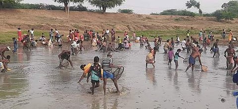 முஷ்டக்குறிச்சியில் மீன்பிடித் திருவிழா