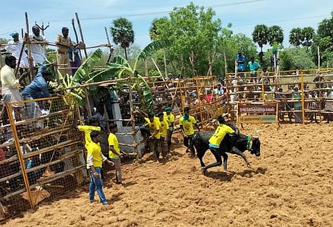 திருமயம் அருகேயுள்ள அடுகப்பட்டியில் வியாழக்கிழமை நடைபெற்ற ஜல்லிக்கட்டில் வாடிவாசலில் இருந்து சீறிப்பாய்ந்து வந்த காளையைத் தழுவிய மாடுபிடி வீரா்.