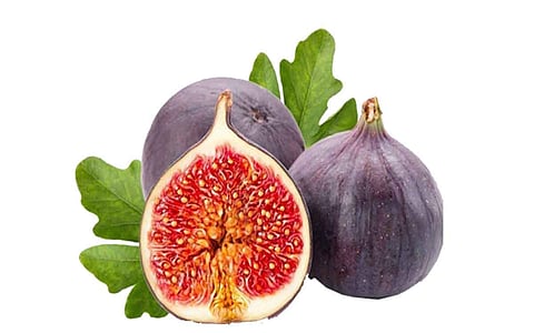 மகளிர் டிப்ஸ்