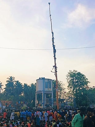 அஞ்சுகுழிப்பட்டியில் வழுக்கு மரம் ஏறும் போட்டி