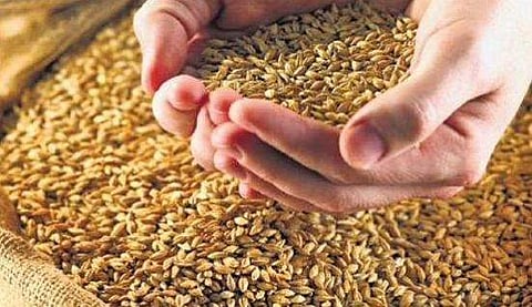 கோதுமை கையிருப்புக்குக் கட்டுப்பாடு: மாநில அரசுகளுக்கு மத்திய அரசு அறிவுறுத்தல்