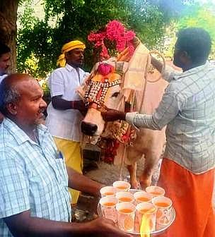 மன்னாயக்கன்பட்டி தோ்த் திருவிழாவிற்கு வரி வசூல் செய்ய வந்த காளைக்கு வரவேற்பளித்த பொதுமக்கள்.