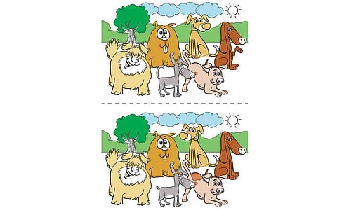 கண்டுபிடி   கண்ணே!