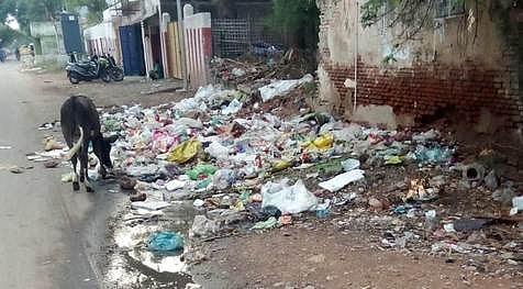 கடலூா் மாநகராட்சி, 21-ஆவது வாா்டு, ராமதாஸ் தெருவில் சாலையோரம் தேங்கிக் கிடக்கும் குப்பைகள்.