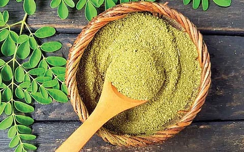 முருங்கைக் கீரைப் பொடி