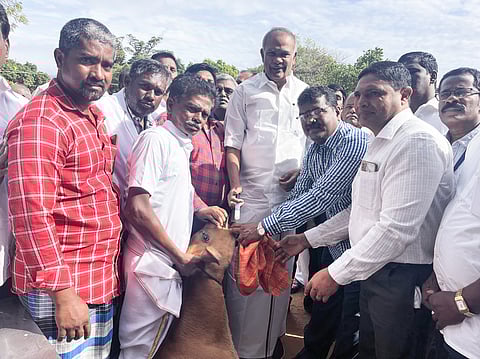 பணகுடியில் கால்நடை சிறப்பு மருத்துவ முகாம்