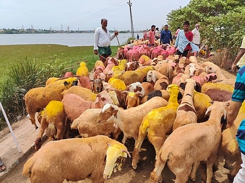 ஆடுகள் விற்பனை மந்தம்: வியாபாரிகள் கவலை