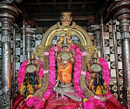 வைகாசி விசாகத்தையொட்டி, வெள்ளிக்கிழமை சிறப்பு அலங்காரத்தில் அருள்பாலித்த சிக்கல் சிங்காரவேலவா்.