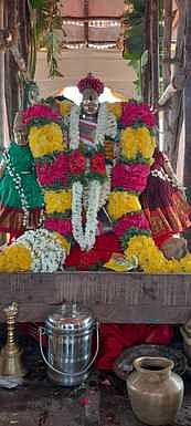 கோடியக்காட்டில் நடைபெற்ற குழகா் கோயில் தேரோட்டம்.