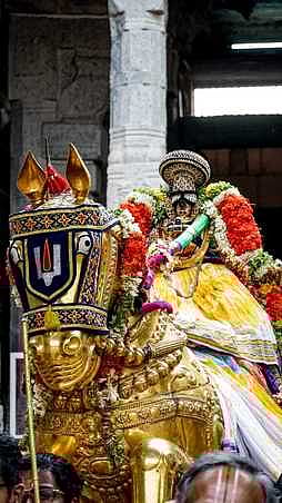 ஸ்ரீரங்கம் கோயிலில் ஞாயிற்றுக்கிழமை தங்கக் குதிரை வாகனத்தில் எழுந்தருளிய நம்பெருமாள்.