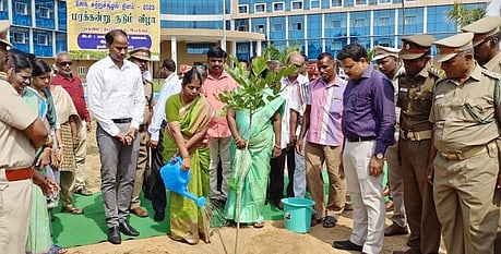 மரக்கன்று நடவு செய்த ராணிப்பேட்டை மாவட்ட ஆட்சியா் ச.வளா்மதி.