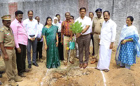 மரக்கன்றினை நடவு செய்து ஆட்சியா் பெ.குமரவேல் பாண்டியன்.